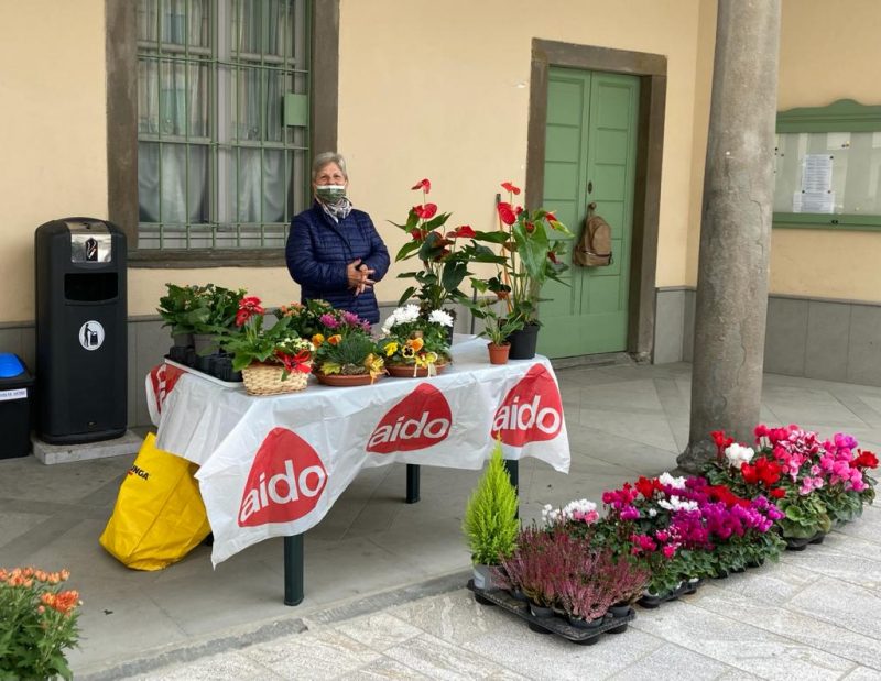 Vendita fiori sorisole